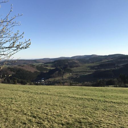 Gluehalm Willingen Villa Willingen  Eksteriør bilde