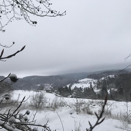 Gluehalm Willingen Villa Willingen  Eksteriør bilde
