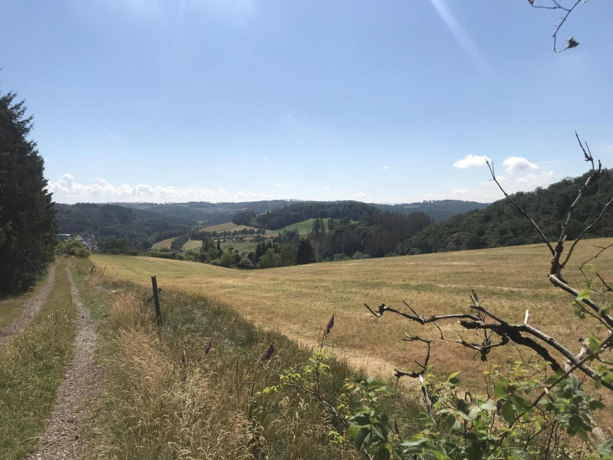 Gluehalm Willingen Villa Willingen  Eksteriør bilde