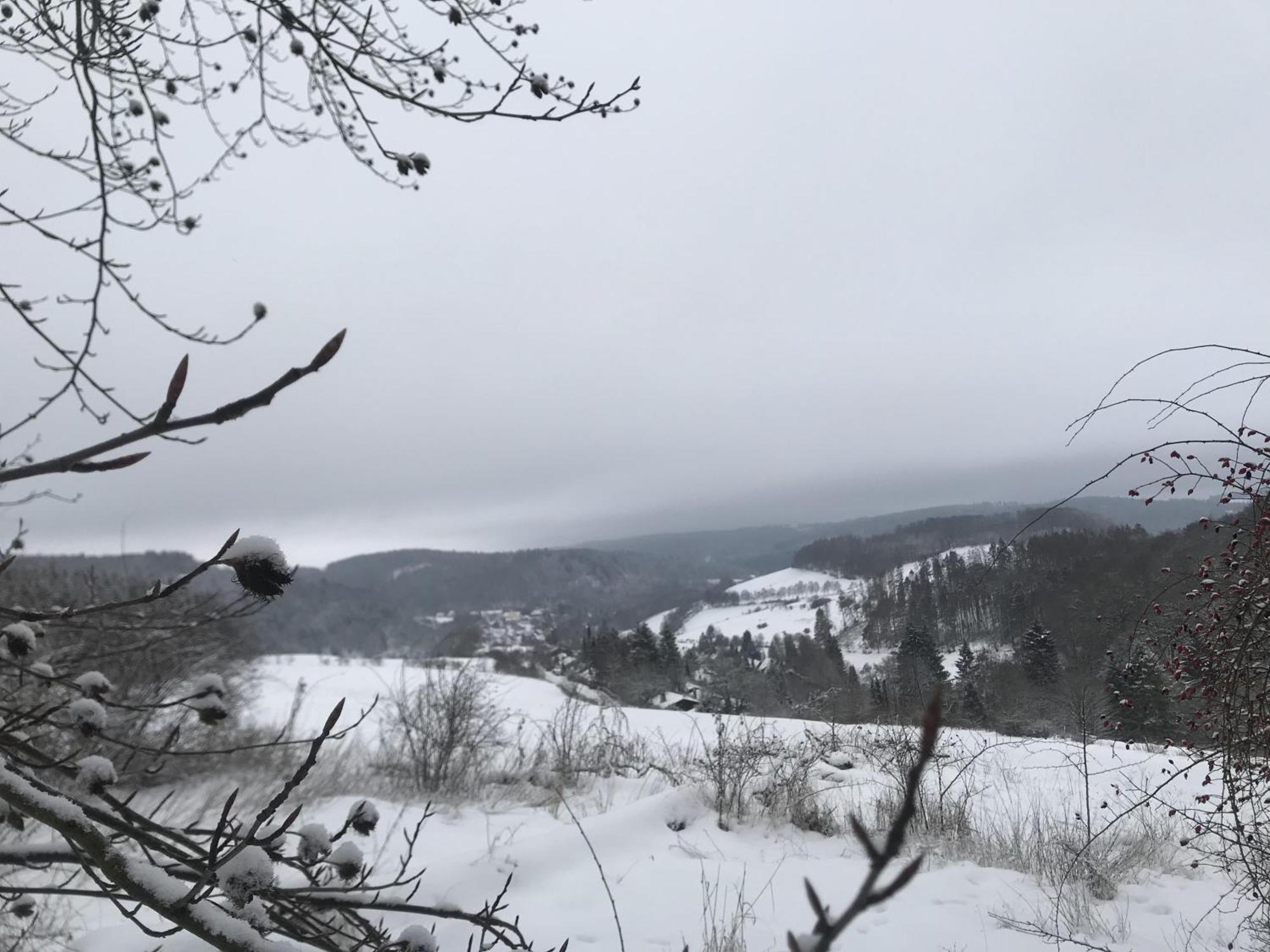 Gluehalm Willingen Villa Willingen  Eksteriør bilde