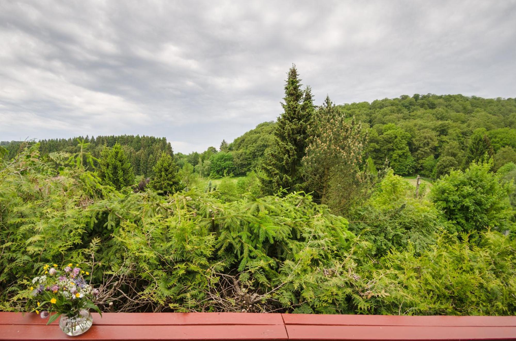 Gluehalm Willingen Villa Willingen  Eksteriør bilde